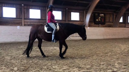 S2 M1 L1 “Body scan” Alissa - Spine