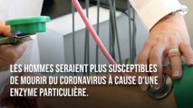 Les hommes pourraient être plus vulnérables au coronavirus que les femmes à cause d’une enzyme