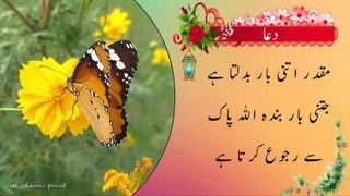 Best Collection of Islamic Quotes about Dua in Urdu | Islamic Quotes in Urdu - #alislamicpoint