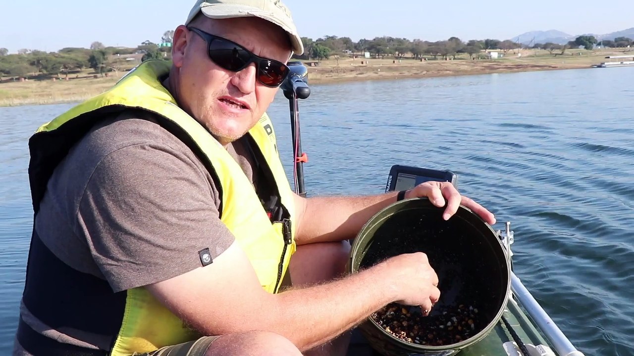 Mouse Trap and Free Offerings - Specimen Carp