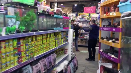 Süs Hayvanlarına Talep Arttı, Pet Shoplar Taleplere Yetişemiyor