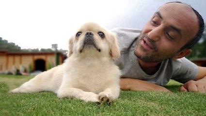 Köpeğinin öldüğünü öğrenen Ersin Korkut'tan ilk paylaşım