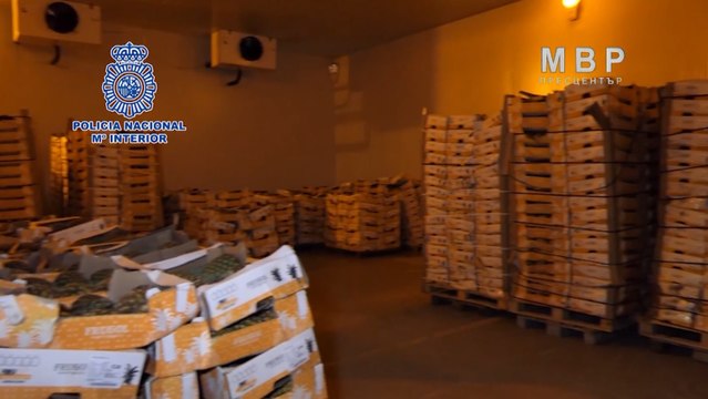 Intervenida una tonelada de cocaína en una operación con 18 detenidos