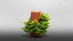 This unusual pot lets plants grow from the inside out, requiring nothing but water.
