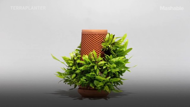 This unusual pot lets plants grow from the inside out, requiring nothing but water.
