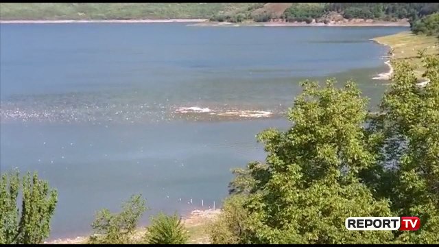 Liqeni i Fierzës ndotet nga mbeturinat, gazetarët e Kukësit i bashkohen nismës për ta pastruar