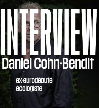 Daniel Cohn-Bendit sur la Cour de Karlsruhe