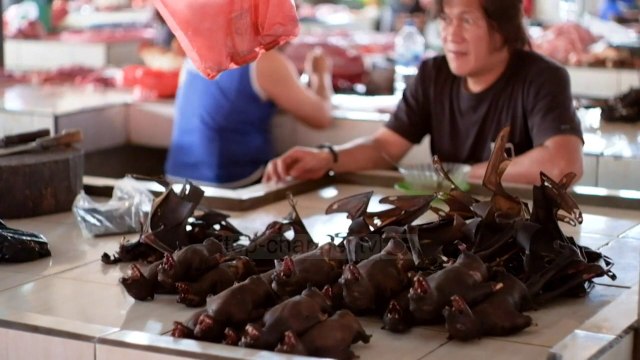 Pandemia po rrit ndotjen plastike/ Ambientalistët në alarm në të gjithë botën