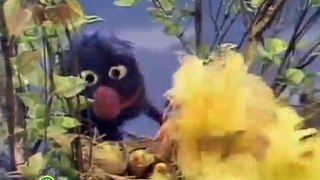Sesame Street - Grover Finds A Bird's Nest