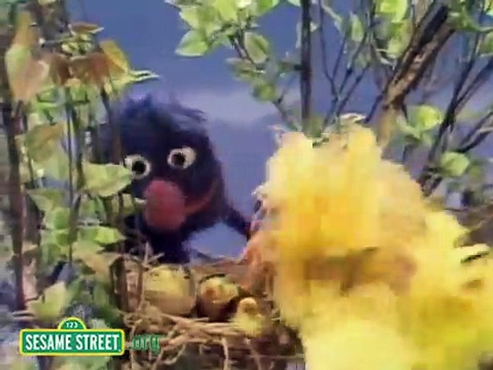 Sesame Street - Grover Finds A Bird's Nest