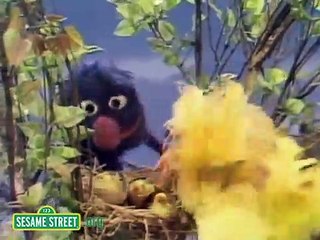 Sesame Street - Grover Finds A Bird's Nest