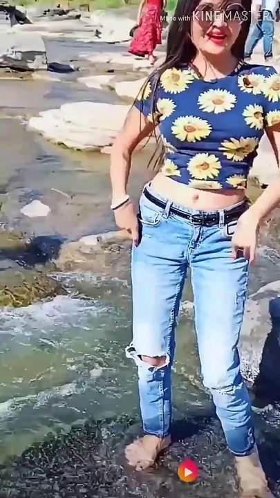 Ultimate TikTok Dance Compilation (2)