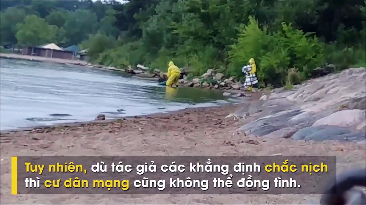 được vớt từ dưới biển lên