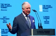 Prince Charles says coronavirus could 'destroy' the British cheese industry