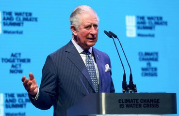 Prince Charles says coronavirus could 'destroy' the British cheese industry
