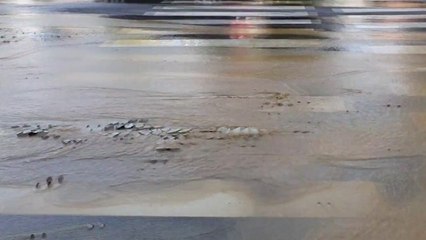 오산시 노후 상수도관 파열...차량 우회 조치 / YTN