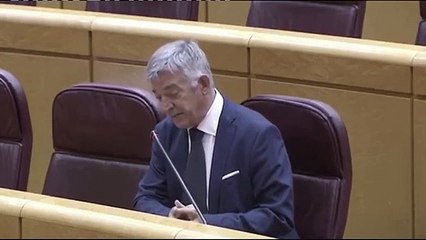 Koldo Martínez (Geroa Bai) se queja de la ayuda del Ejército ante el coronavirus