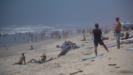 Top News - ‘Frymëmarrje’ në SHBA, ulet ndjeshëm numri i të vdekurve nga Covid-19