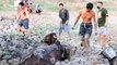 Cow rescued from mud hole in Thailand