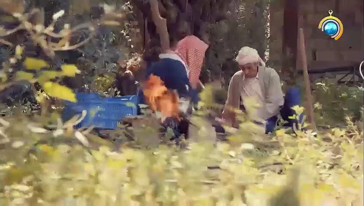 مسلسل حبر النار الحلقة 6 بعنوان _وباء_