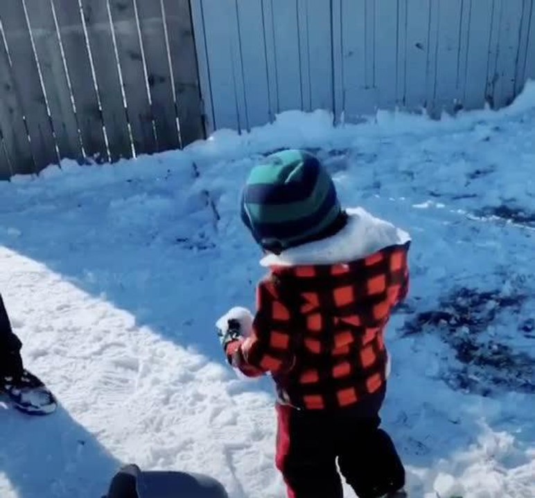 Toddler Hits Dad in Crotch with Snowball Making Him Wince in Pain ...