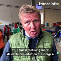 Allemagne : des asperges coûte que coûte