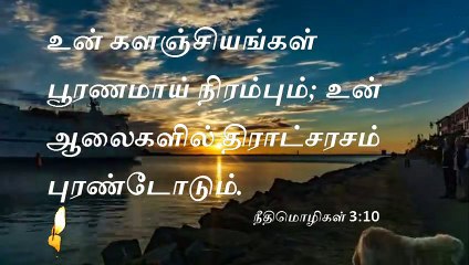 Today bible reading in Tamil #நீதிமொழிகள் 3:10 -