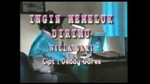 Nila sari - Ingin memeluk dirimu (Official video)