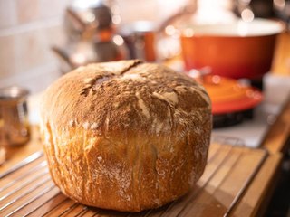 5 Rookie Sourdough Mistakes and How to Fix Them