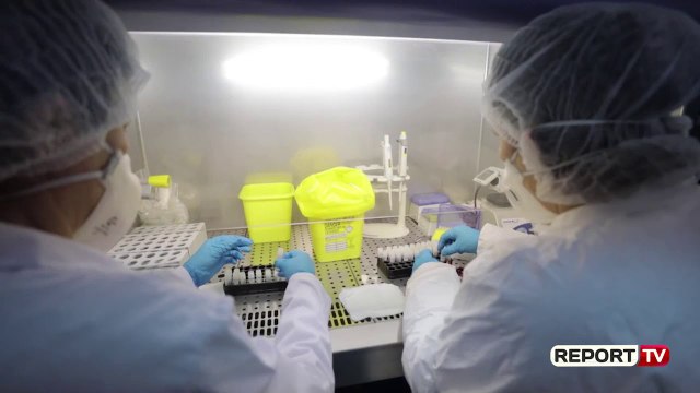 Report TV -4 raste të reja me COVID, mes tyre një grua shtatzënë, 6 të shëruar në 24 orët e fundit