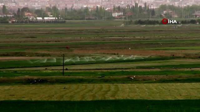 Korona virüs arsa, tarla ve bahçe fiyatlarını yüzde 20 artırdı