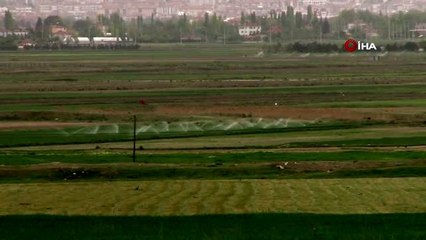 Korona virüs arsa, tarla ve bahçe fiyatlarını yüzde 20 artırdı