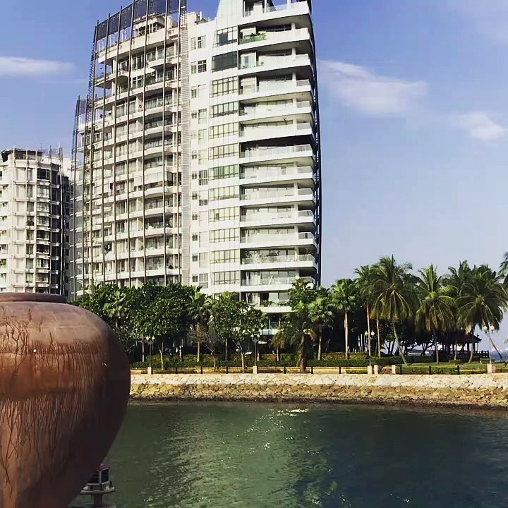 Sentosa Dog walking | Anthony S Casey Singapore