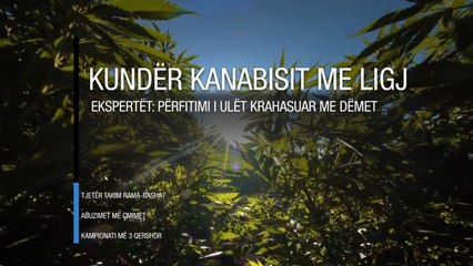 LIVE/ Edicioni informativ i orës 16:00 - 13 maj 2020