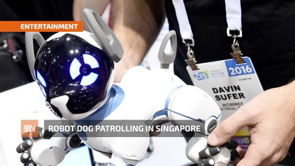 Robots In Singapore