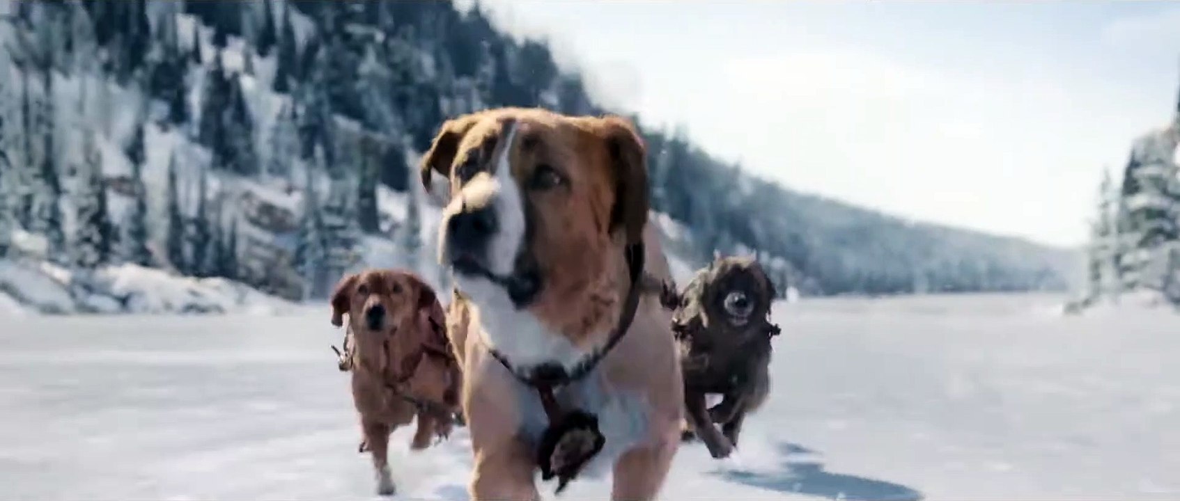 L’appel de la forêt Film - Extrait avec Omar Sy - L’Avalanche