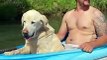 Missing Dog Enjoys River Float Trip Before Being Reunited with His Owners