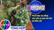 Người đưa tin 24G (6g30 ngày 14/5/2020): Phát hiện vụ trồng cây cần sa quy mô lớn tại Đắk Lắk