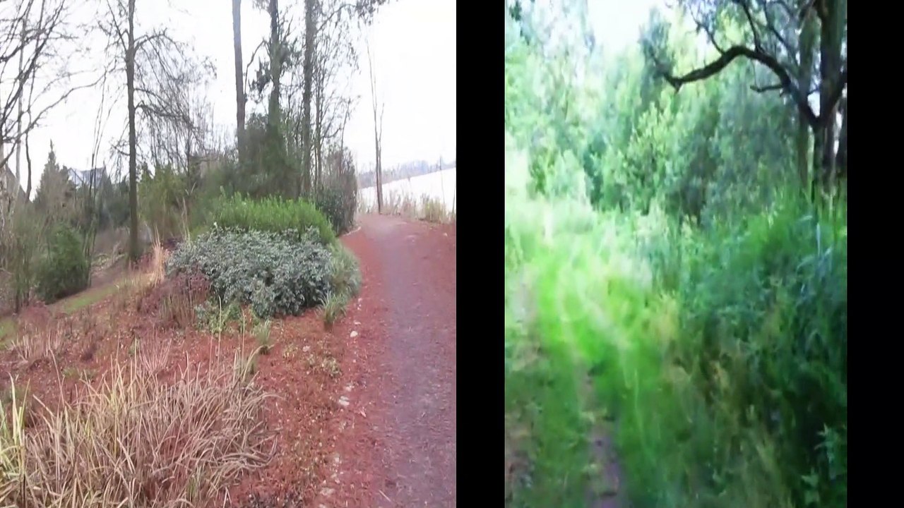 Grundrente, kümmert euch endlich darum! 14.05.2020