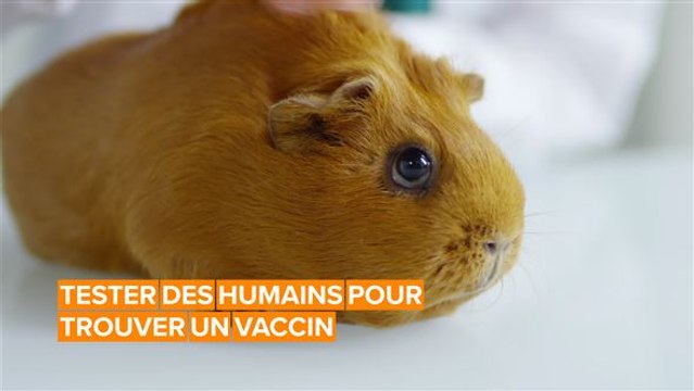 Souhaitez-vous vous exposer au COVID-19 pour aider à trouver un vaccin ?