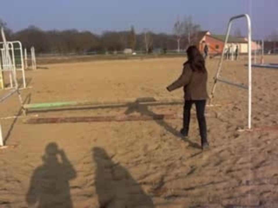 les 2 mél é delfine