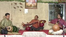 Manavyalakinchara|Raga Nalinakanthi|Carnatic music veena instrumental|Saraswati Veena | N. Karthik