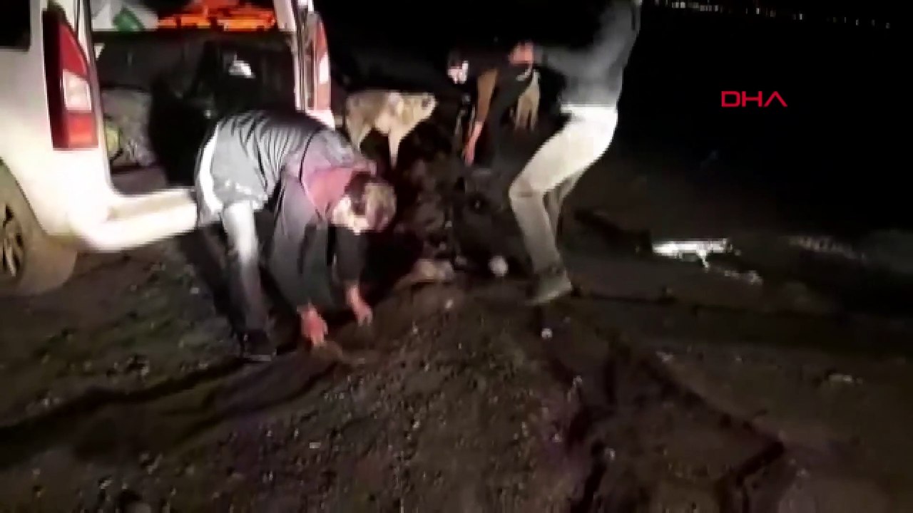 Van'da, 2 ton balık ile 5 ton balık kapasiteli 400 metre ağ ele geçirildi