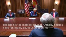 US top doctor Fauci's call for cautious reopening 'not acceptable': Trump