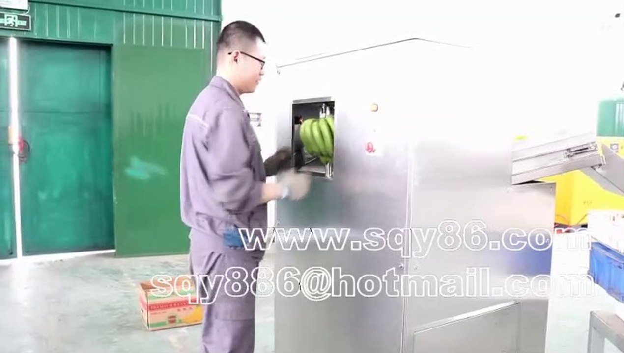 2020 New Model of Plantain Banana Roots Cutting and Removing Machine