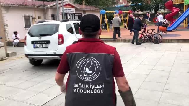 Ağaçtan düşen yavru karga için belediye ekipleri seferber oldu