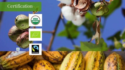 SourceTrace's Solutions to Revolutionize the Agriculture Value Chain