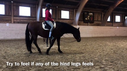 S2 M2 L1 “body scan” Alissa- character of Hindleg