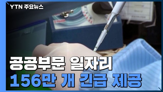 공공부문 중심 일자리 156만개 제공... 원격 의료 적극 검토해야 / YTN