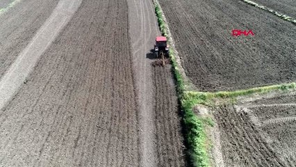 Edirne'de çiftçinin 'beyaz altını' toprakla buluştu
